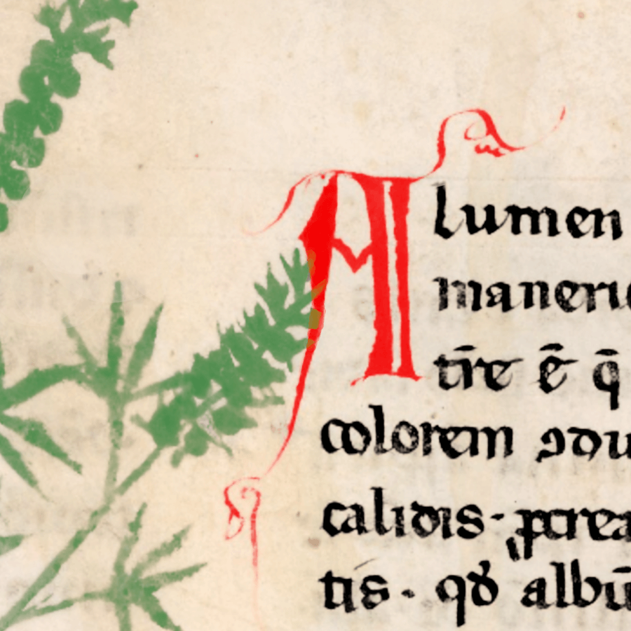 (Image : Manuscrits médiévaux perdus et sciences de l’écologie)