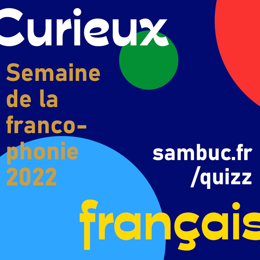 Logo du quiz : Curieux français 2022.